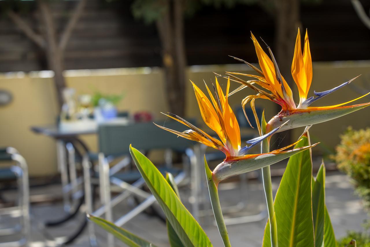 Ayia Napa Tropical Beach Villa Kültér fotó
